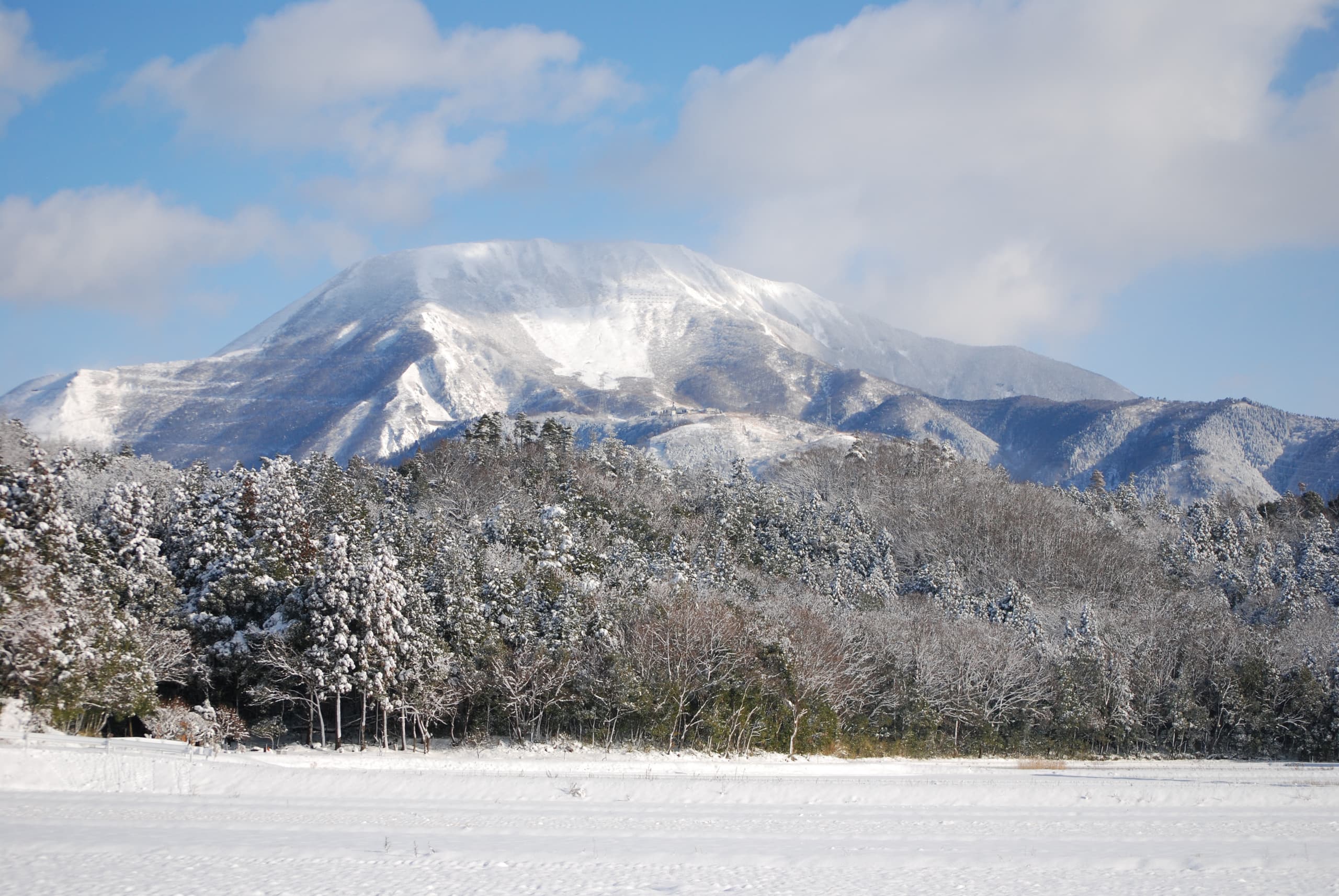 dsc_9363.jpg