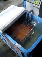 spr3.gif