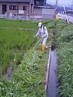2006_13.gif