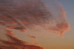 DSC_0787.JPG