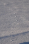 DSC_1214.JPG